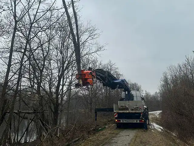 Kran bei Baumfaellungen in der Natur, professionelle Baumfällung.