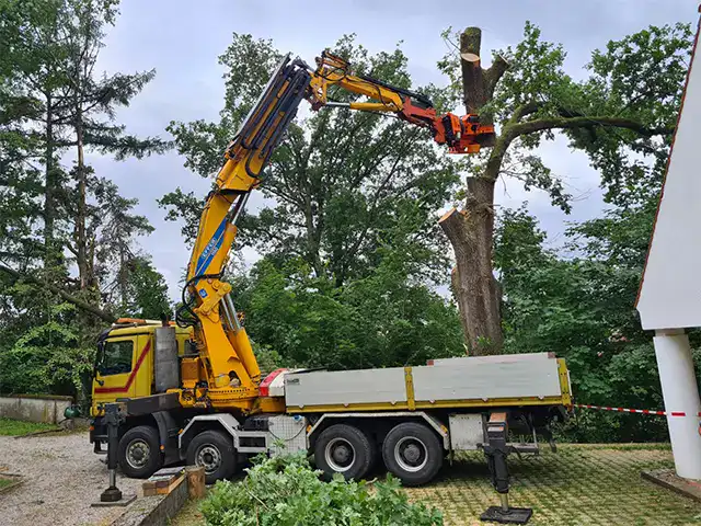Baumfaellungen mit Kran durch Robert Maier GmbH in Deutschland.