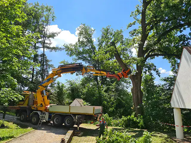Kranwagen bei Baumfällarbeiten in einem grünen Garten, professionelle Baumfaellungen.