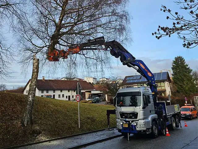 Baumfällung mit Kran - Robert Maier GmbH Baumfaellungen mit Kran in der Nähe von Wohnhäusern durch die Robert Maier GmbH, professionelle Baumpfl.
